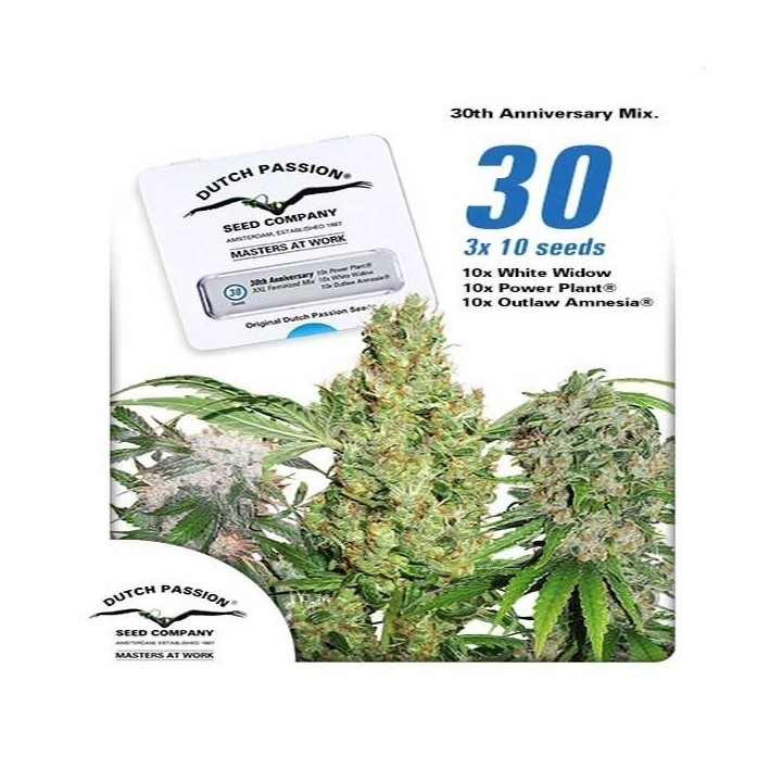 30St Anniversary Mix Feminizada de Dutch Passion