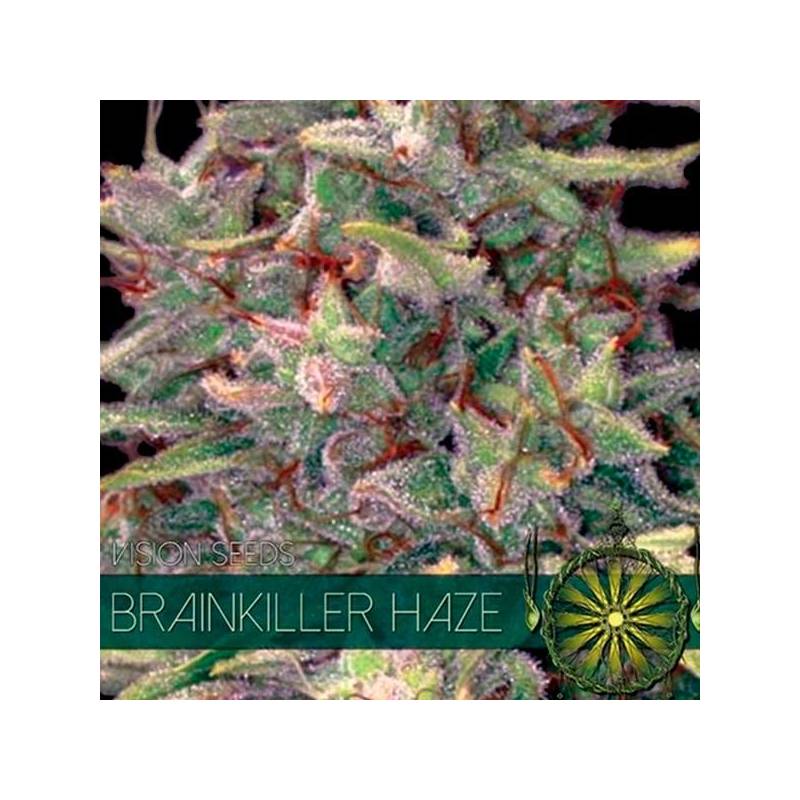 Brainkiller Haze Feminizada de Vision Seeds