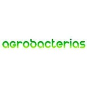 Agrobacterias
