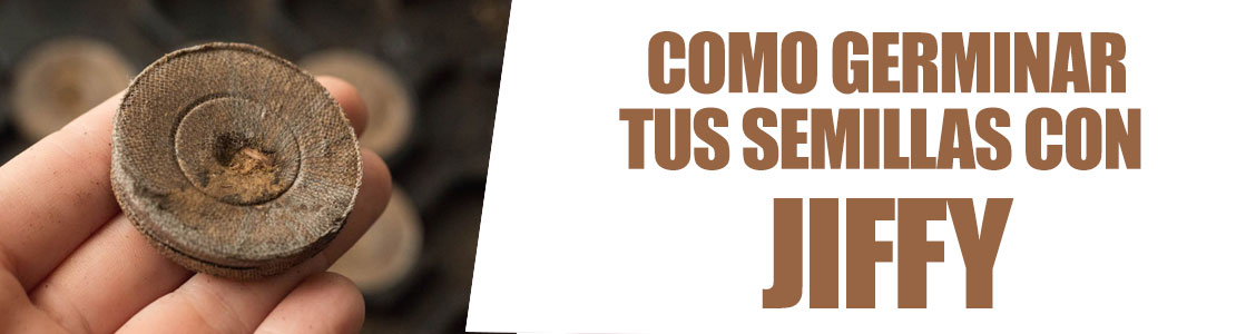 germinar-jiffy
