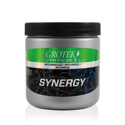 Sinergy