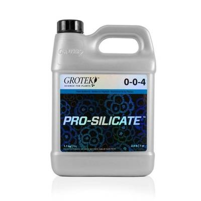 pro-silicate