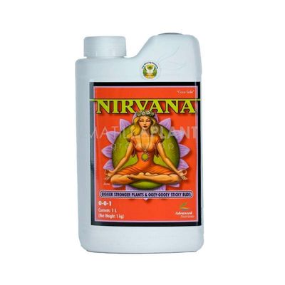 nirvana