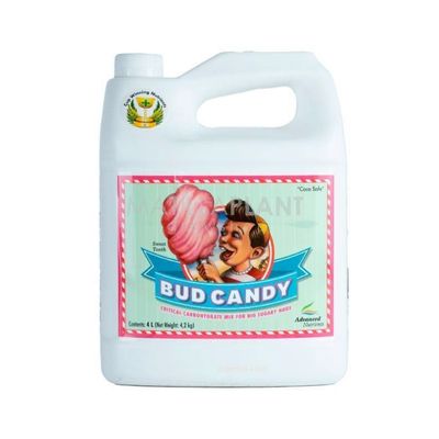 Bud Candy