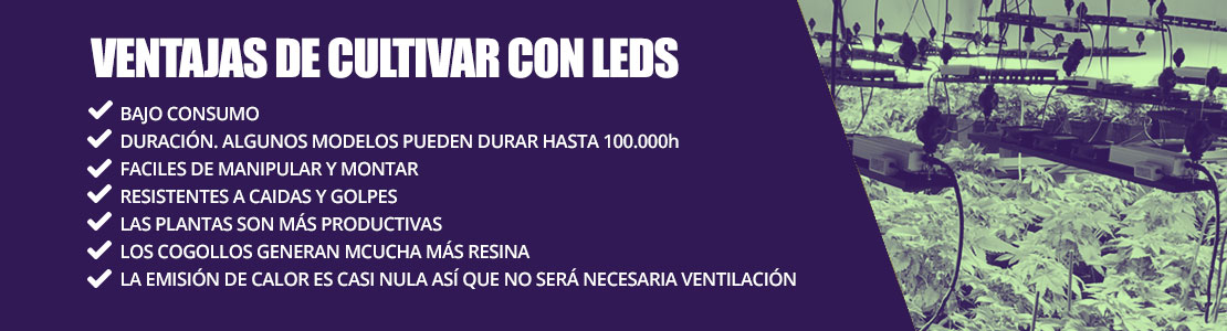 Ventajas de cultivar con LED