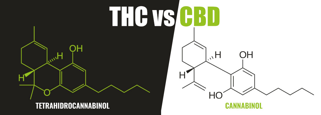 diferencia entre THC y CBD