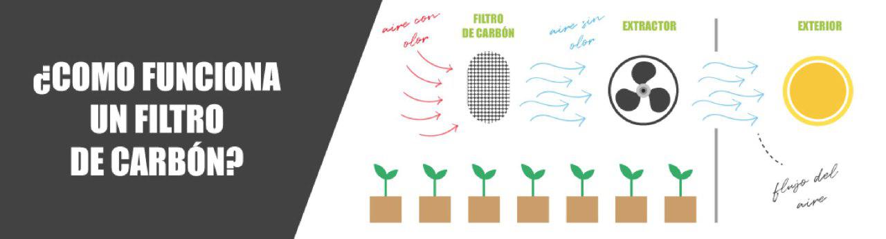 como funciona filtro carbono