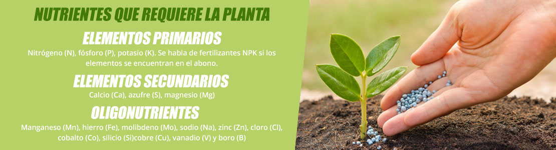 Tipos de nutrientes para marihuana