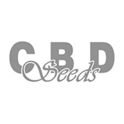 Cbd Seeds