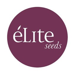 Elite Seeds