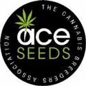 Ace Seeds