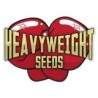 Comprar Heavyweight Seeds semillas de marihuana.