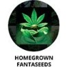 Homegrown Fantaseeds - Semillas Marihuana
