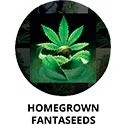 Homegrown Fantaseeds