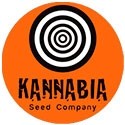 Kannabia Seeds