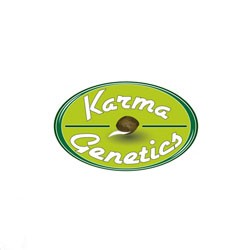 Karma Genetics Seeds