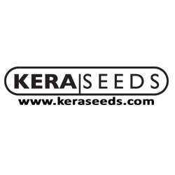 Kera Seeds