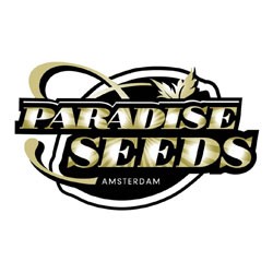 Paradise Seeds