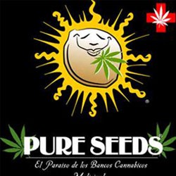 Pure Seeds