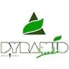 Pyramid Seeds - Semillas marihuana
