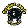 Comprar Reggae Seeds semillas de marihuana.