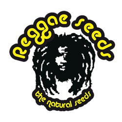 Reggae Seeds