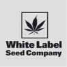 Comprar Sensi White Label semillas de marihuana.