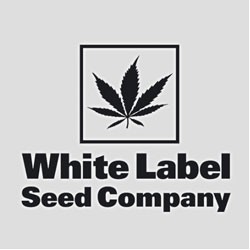 Sensi White Label