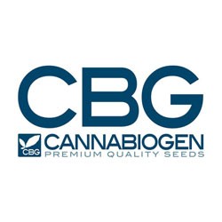 Cannabiogen Seeds