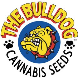 The Bulldog Seeds