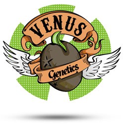 Venus Genetics