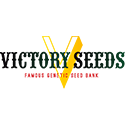 Victory Seeds