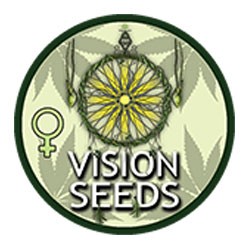 Vision Seeds