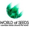 World of Seeds - Semillas de Marihuana.