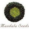 Mandala Seeds - Semillas Marihuana