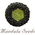 Mandala Seeds