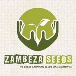 Zambeza Seeds