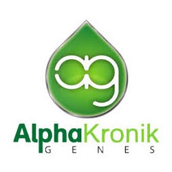 Alphakronik seeds