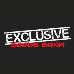 Exclusive Seeds