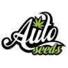 Comprar Auto Seeds semillas de marihuana autoflorecientes.