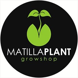 Matillaplant