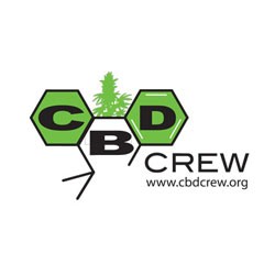 CBD Crew Seeds