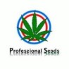 ▷ Professional Seeds ✅ Semillas de marihuana 100% ecológicas
