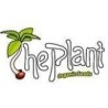 The Plant Organic Seeds - Banco de semillas de alto prestigio ubicado en Barcelona