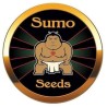 ▷ Sumo Seeds ✅ Semillas de marihuana de máxima calidad