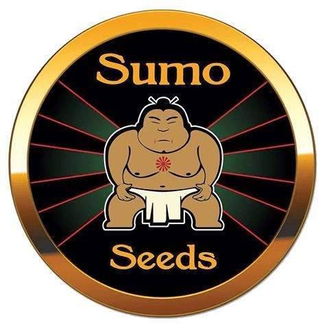 Sumo Seeds