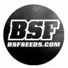 BSF Seeds