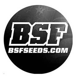 BSF SEEDS