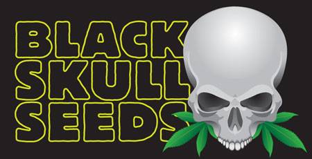 Black Skull Seeds