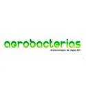 Agrobacterias